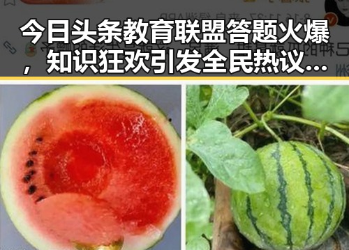今日头条教育联盟答题火爆,知识狂欢引发全民热议🤔🔥